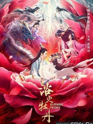锦绣如歌